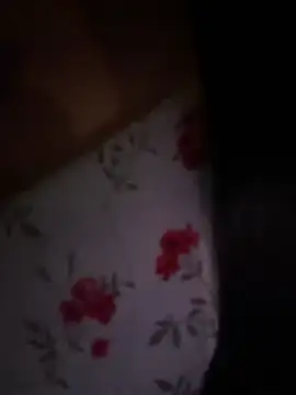 Baby_Panther
