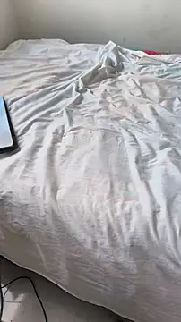 Portandome webcam