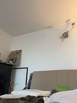 nth-li webcam