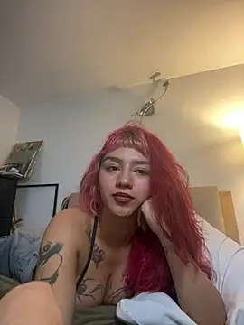 nth-li webcam