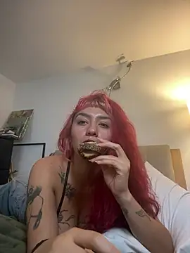 nth-li webcam