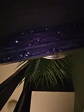 Miss-Melissax webcam
