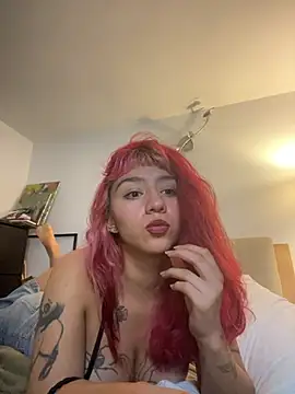nth-li webcam