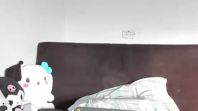 Eirlysx webcam