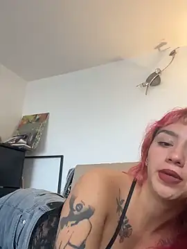 nth-li webcam
