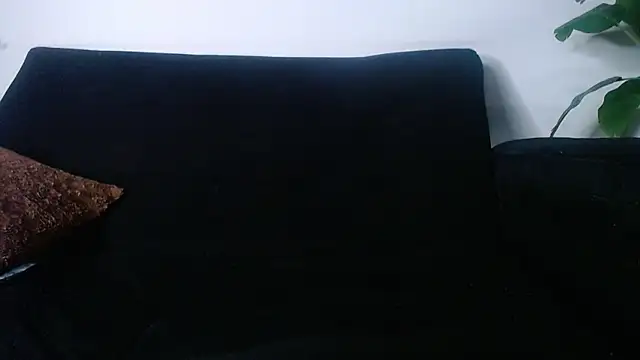 Jesve webcam