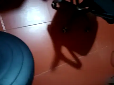 -Tara-a webcam