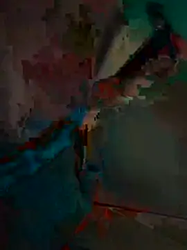 bigboy30X webcam