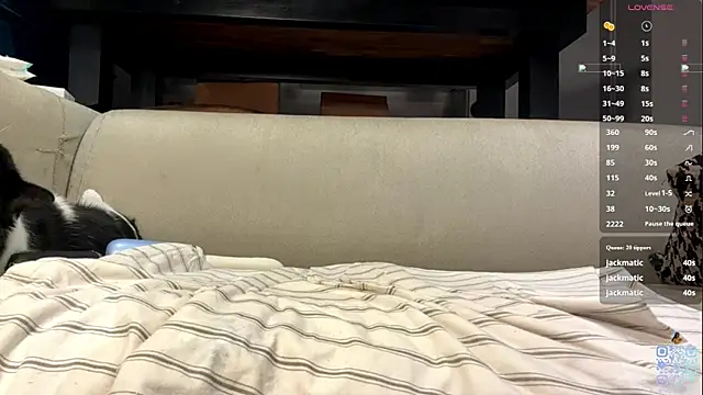 SweetSakuraJane