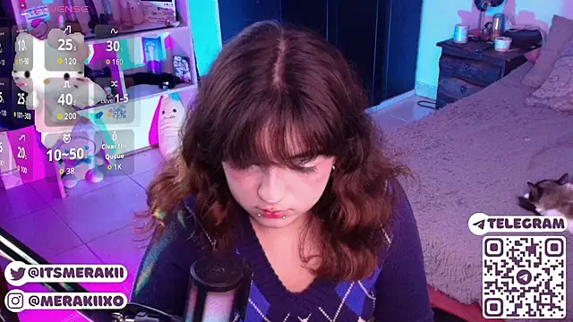 meraki_fraise webcam