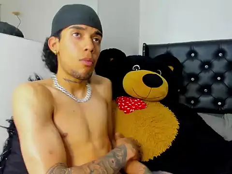 Ryder-Stone webcam