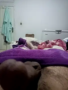 saifooo5363 webcam