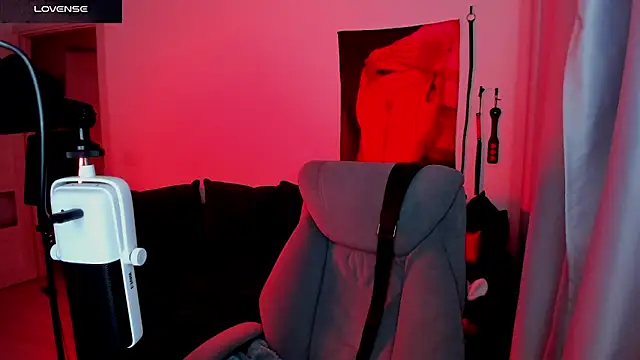 Vulgar_Tamer webcam
