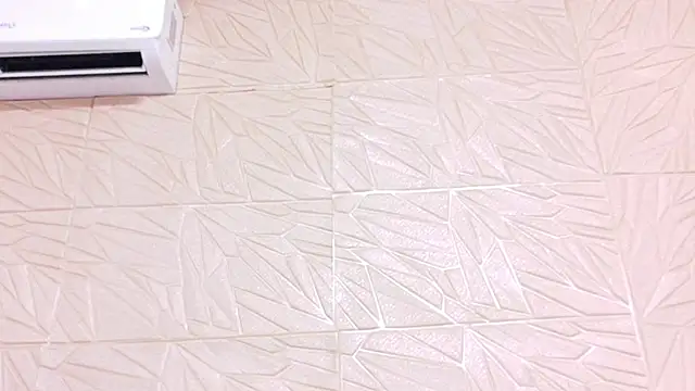 nina_bae webcam