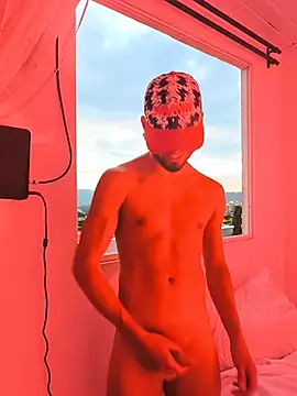 Portandome webcam