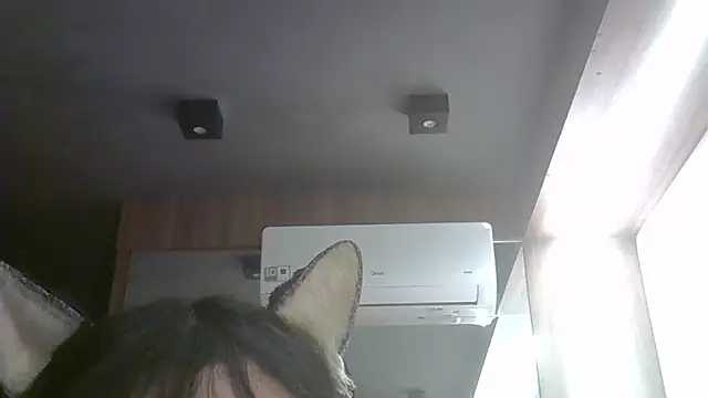 SkinnyKitten webcam