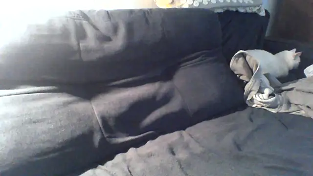 KaelNox webcam