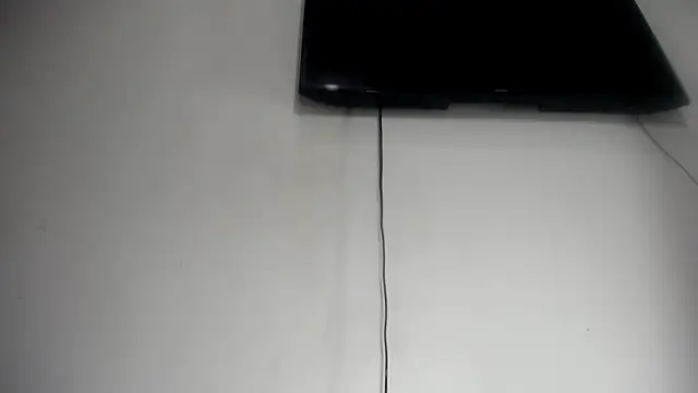 Fox_Loves