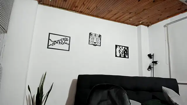 LinaBrowm webcam