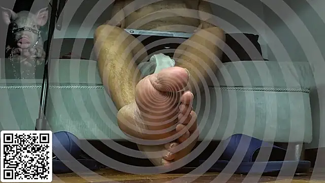 Alphacashmaster777 live cam