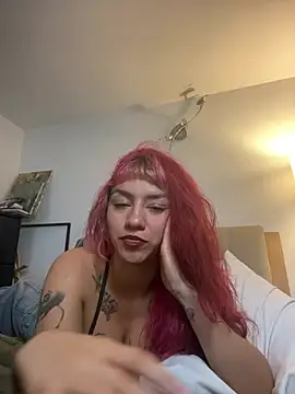 nth-li webcam