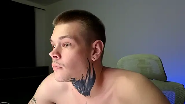 DENIS_HERE webcam