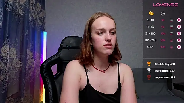 evalusion webcam