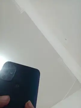 rosemilkbobs webcam