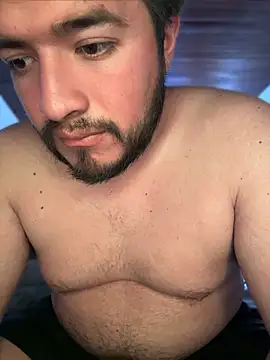 BEAR_GOLDEN webcam