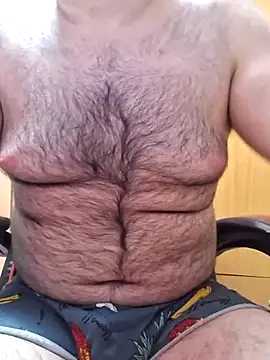 Javier_bear webcam