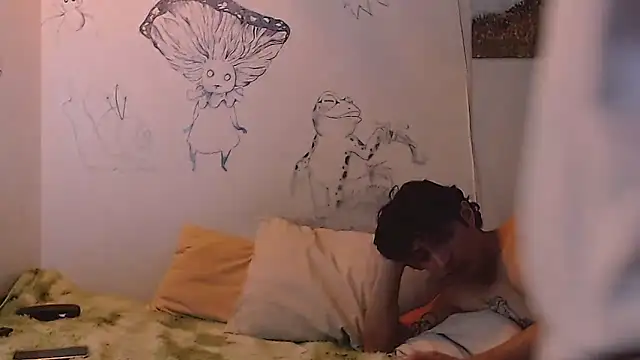 lilla9 webcam