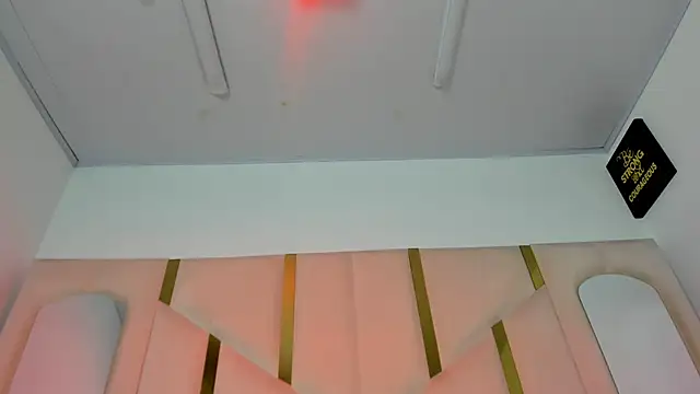 AuroraHoney32 webcam