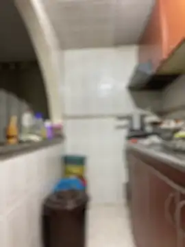 Carola-Ross webcam