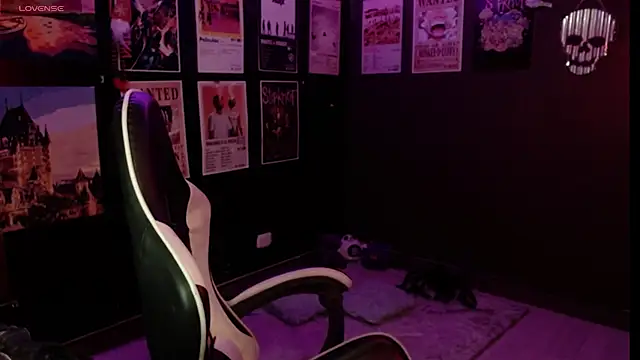 Ravendark_ webcam
