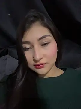 Aylin-fire webcam