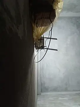 Sgs594802799 webcam