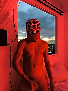 Portandome webcam