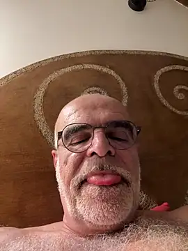 exhibcho webcam