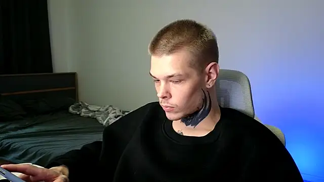 DENIS_HERE webcam