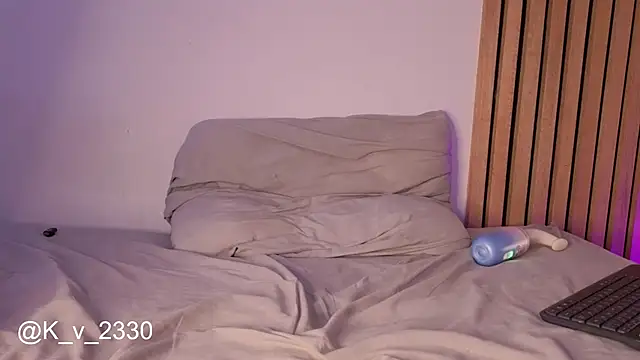 sofiesoft webcam