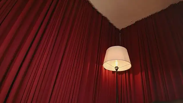 Alice-blaker webcam