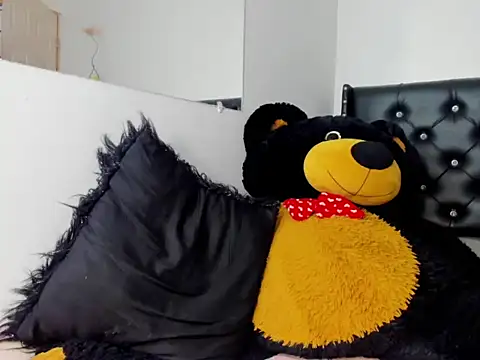 Ryder-Stone webcam