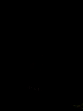 AlvaroLN23cmbigcock webcam