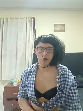 corepio webcam