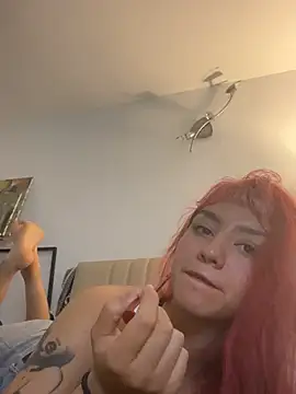 nth-li webcam