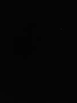 Nes---77
