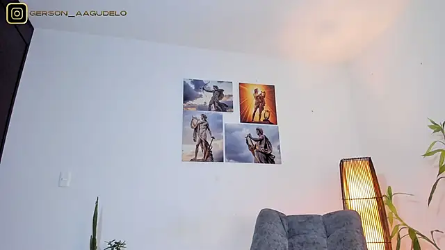 Gersonzt webcam