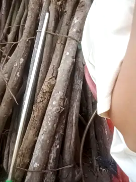 Malisa-aa webcam