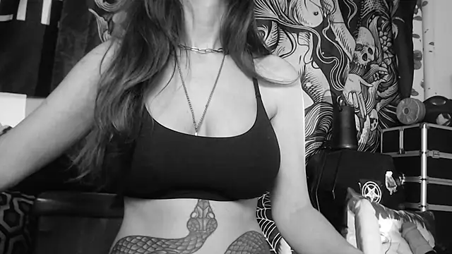 Silentmary webcam