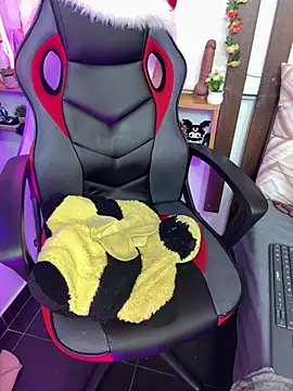 MeowMota_ webcam